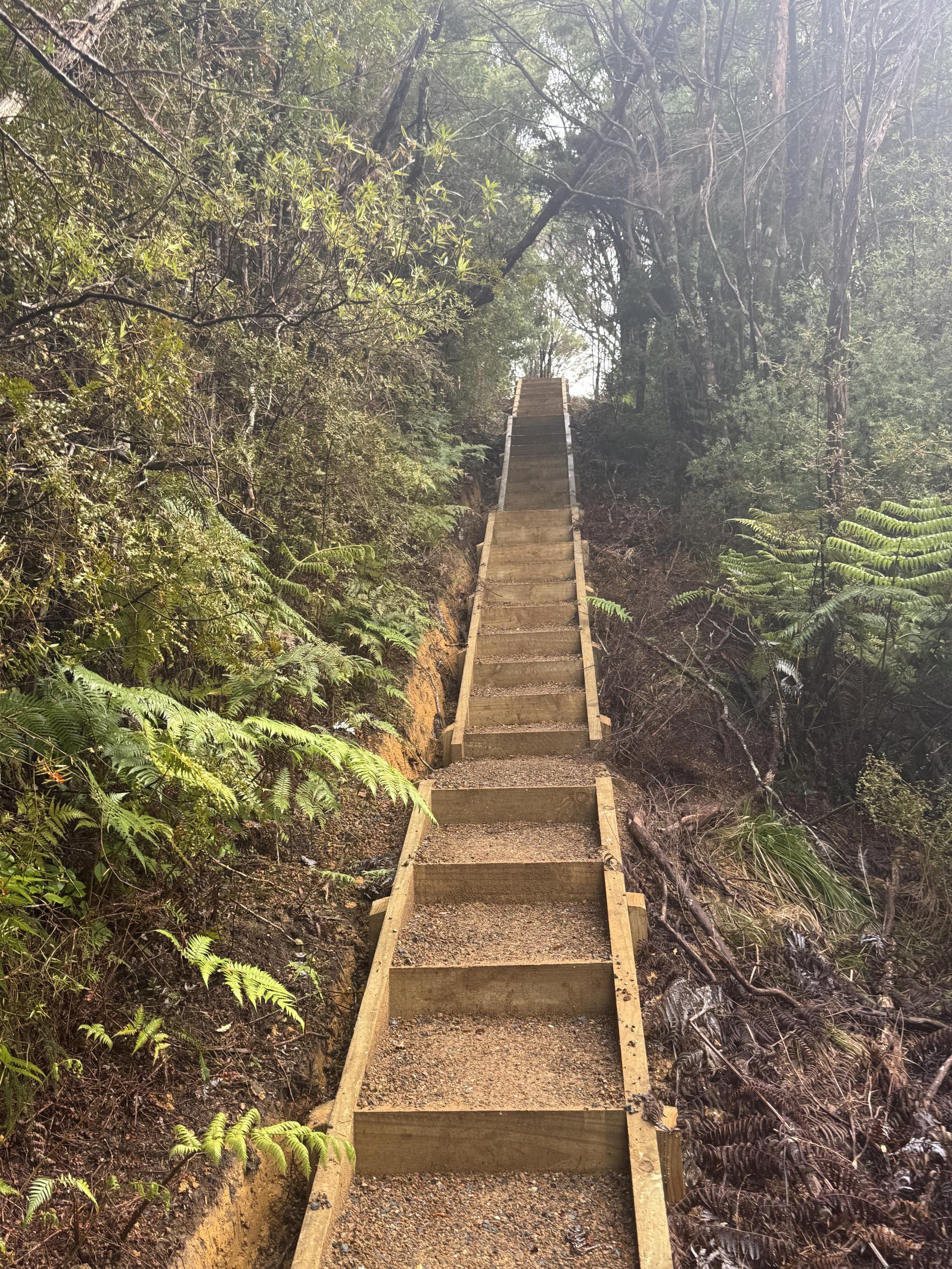 Treppen rauf, Treppen runter