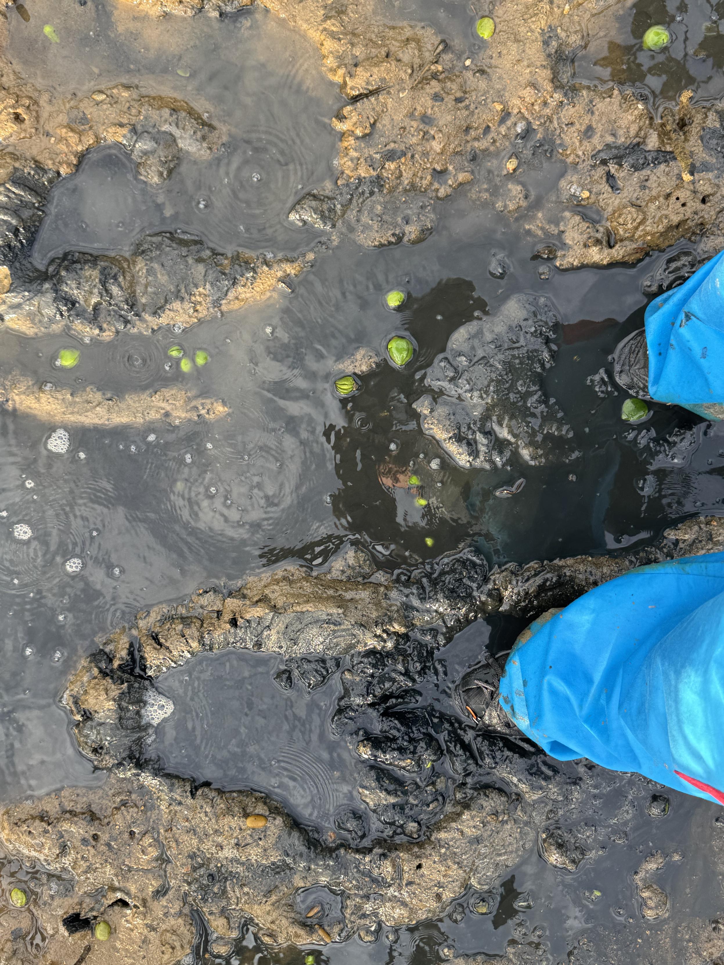 Dann das: stinkender Schlamm 