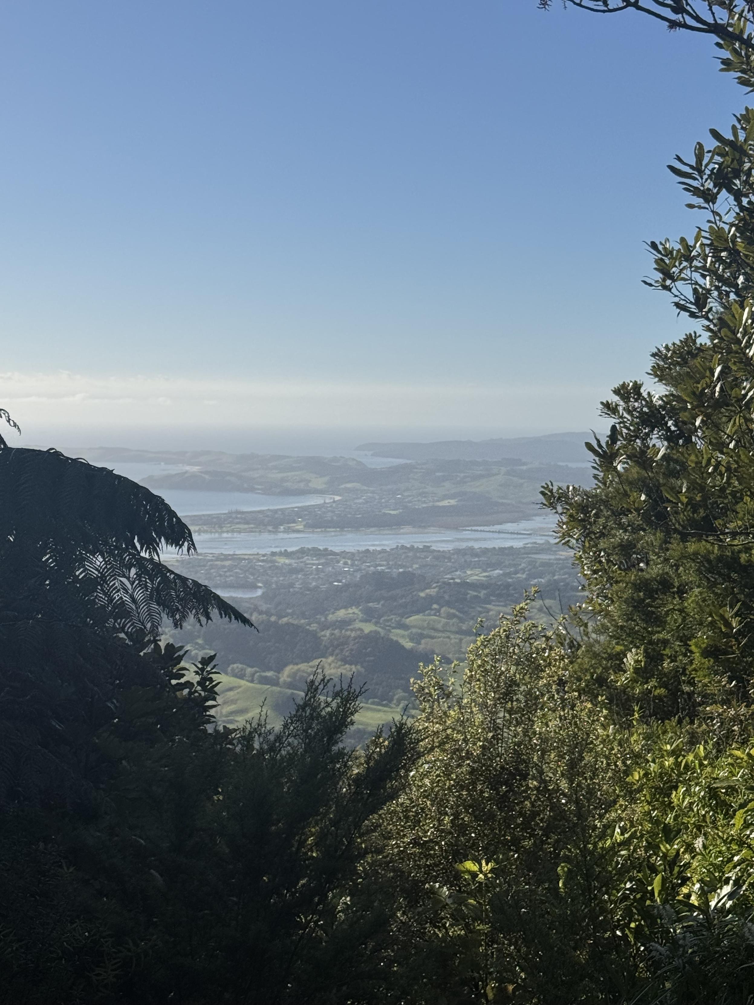 Aussicht manchmal schon 