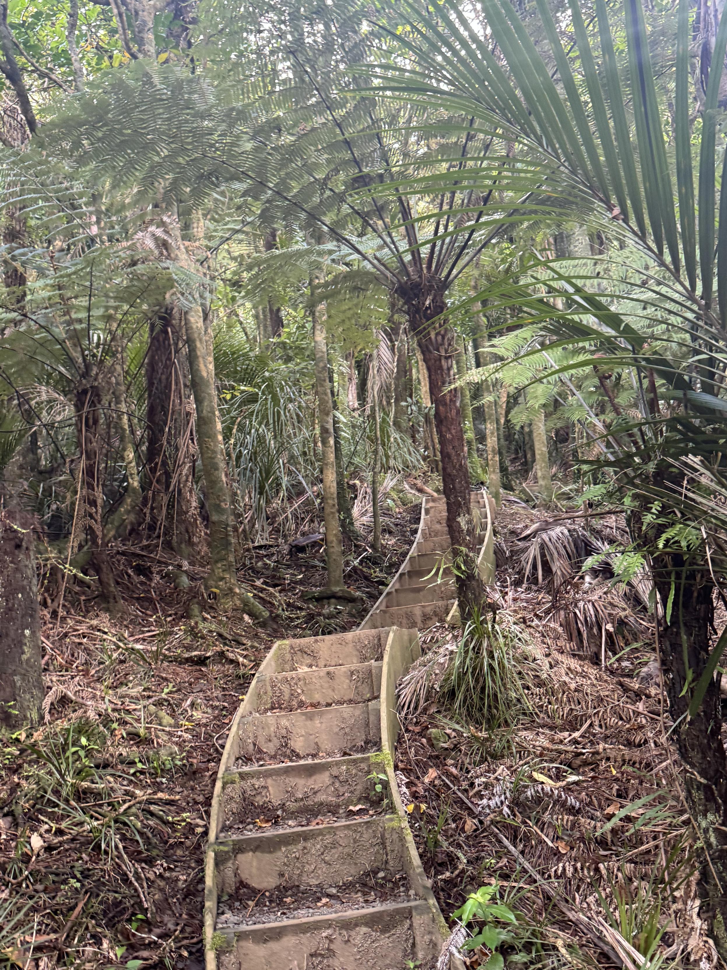 1400 Treppen hoch und später wieder runter 