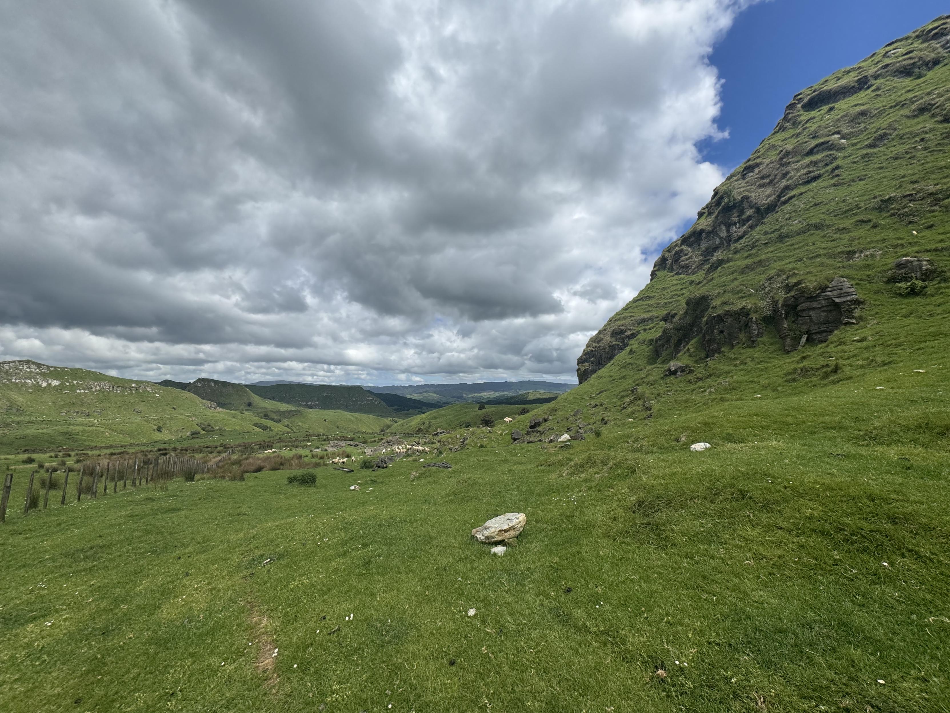 Mehr Berge und 🐑  🐑 🐑