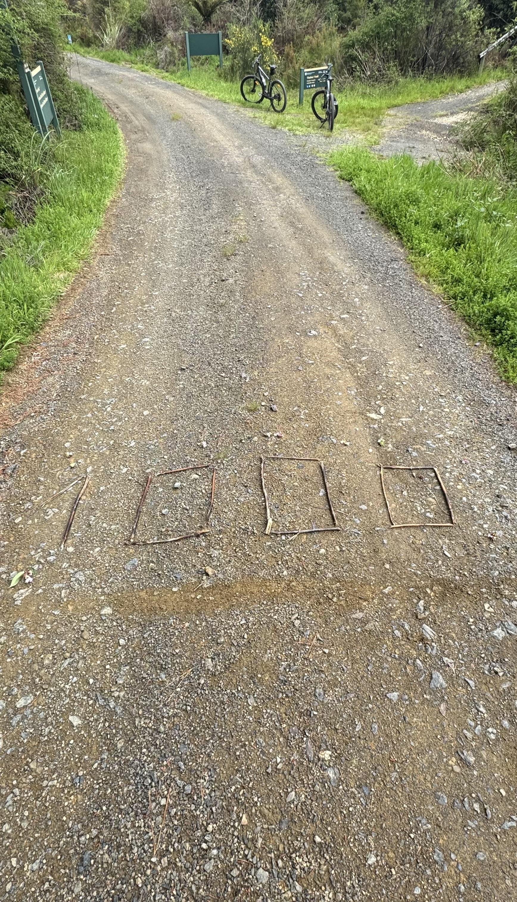 Te Araroa 1000km geschafft