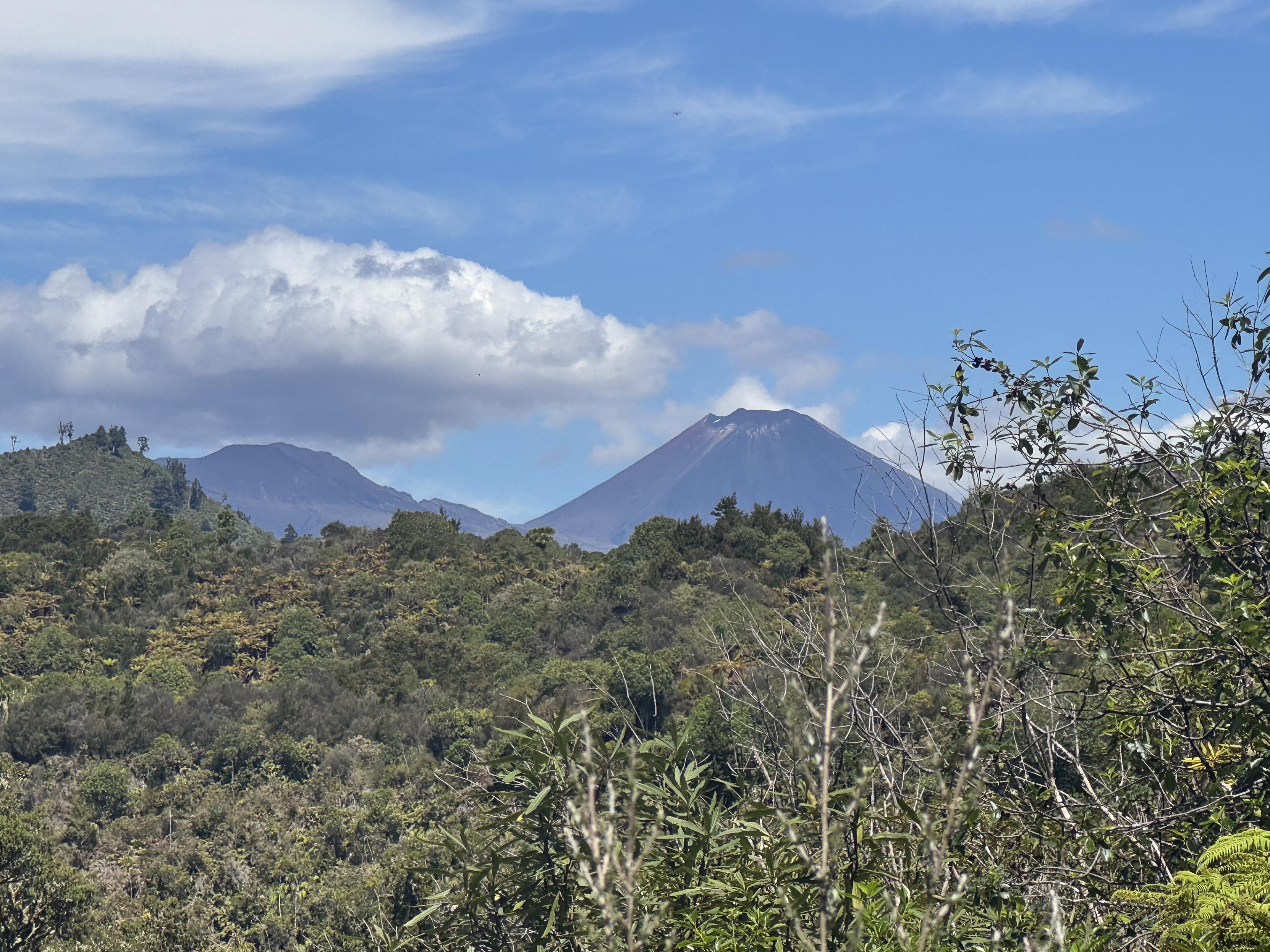 Endlich erster Blick auf Tagariro oder auch Mt. Doom