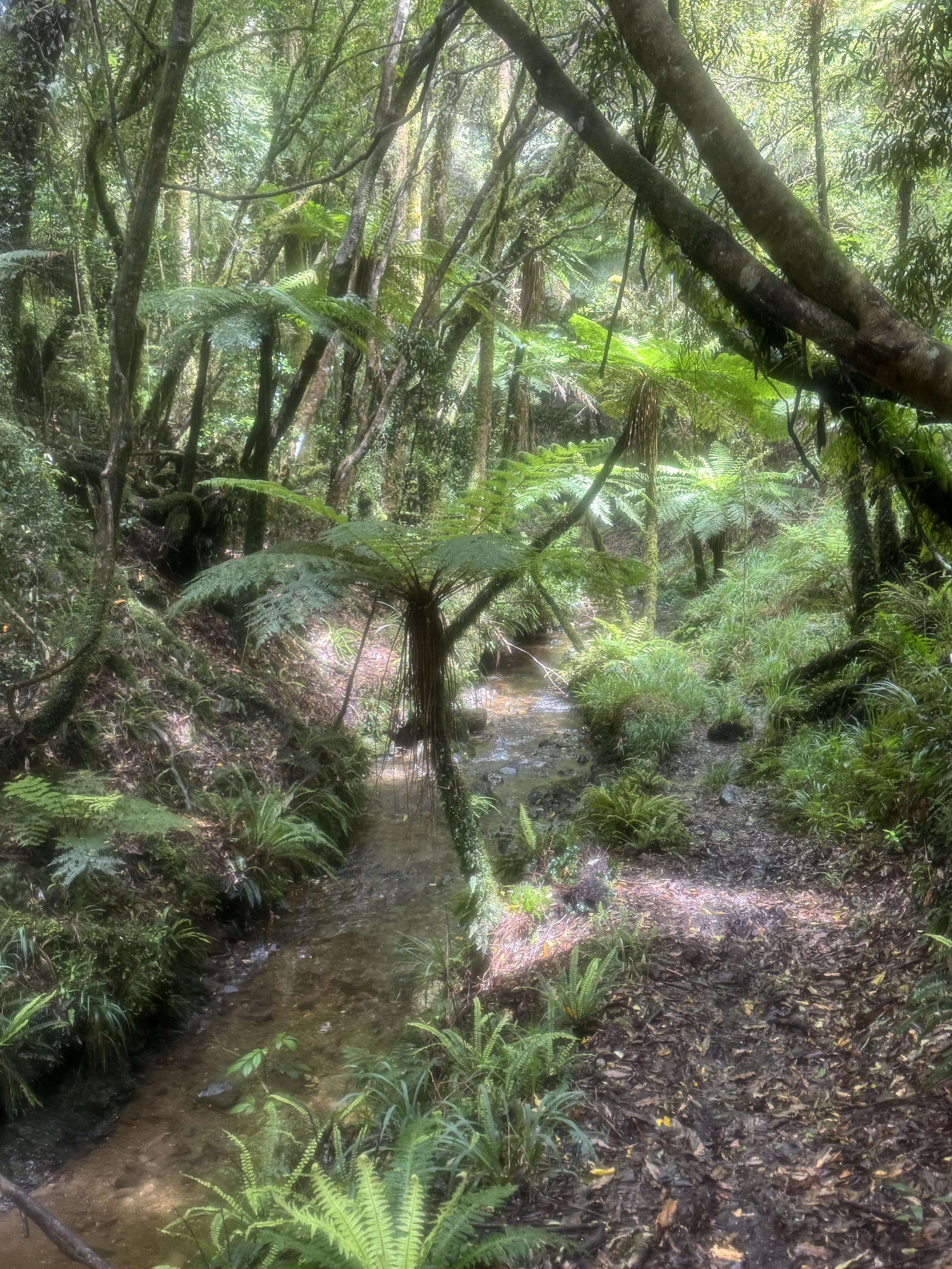 River Crossings can be fun