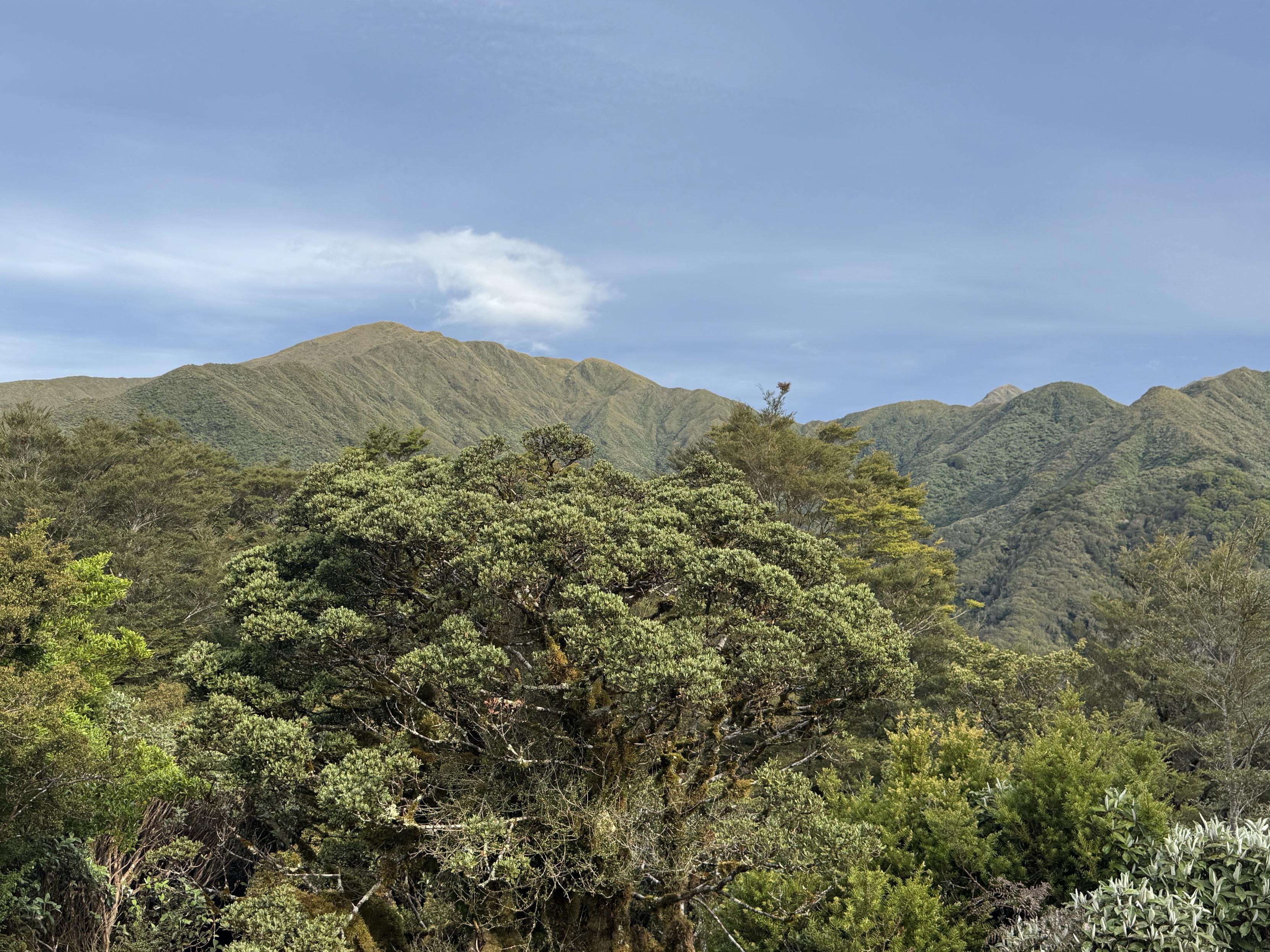 Abends Blick von der Hütte auf den Weg von Morgen 