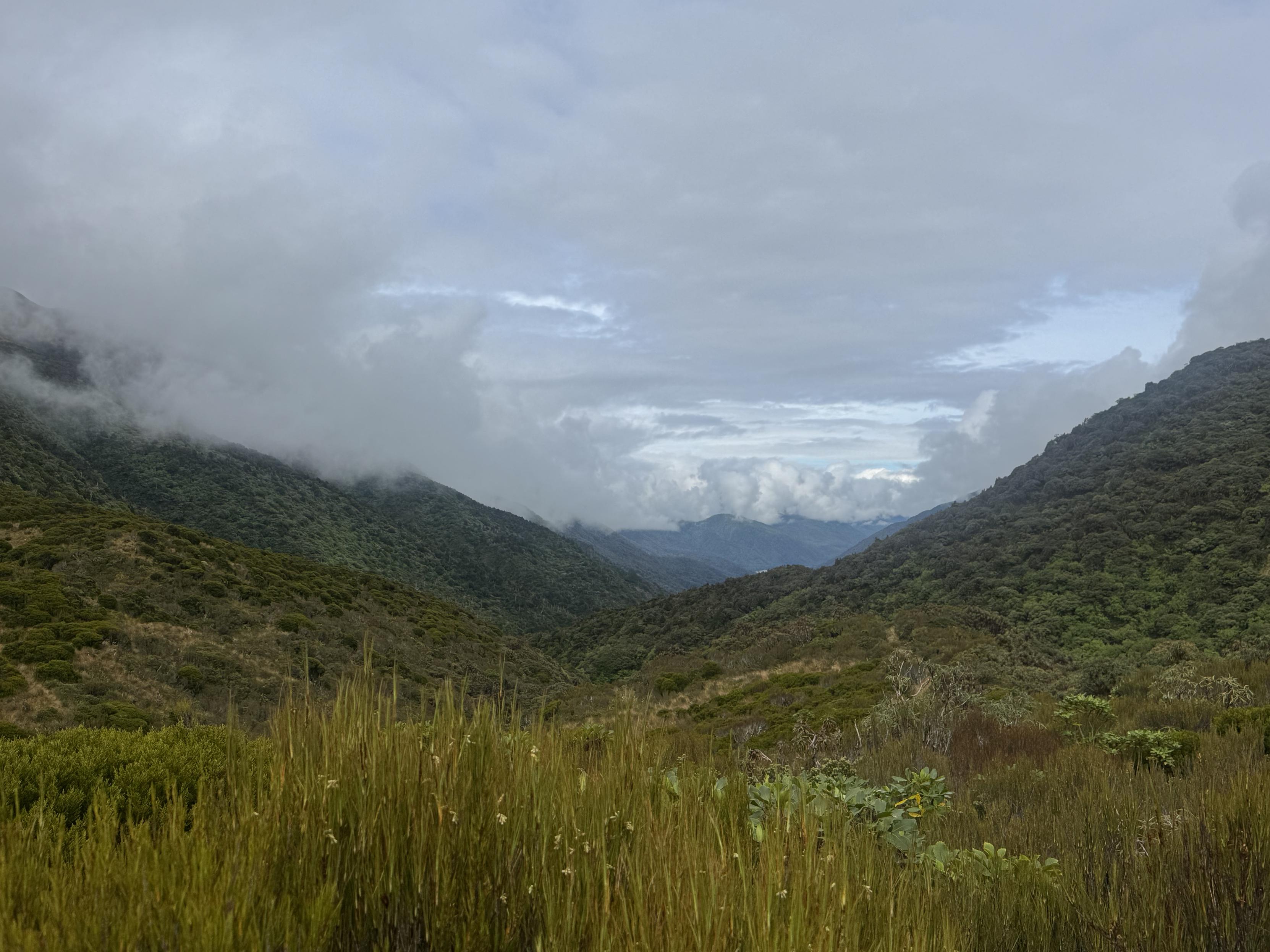 Blick vom Pass nach Westen 