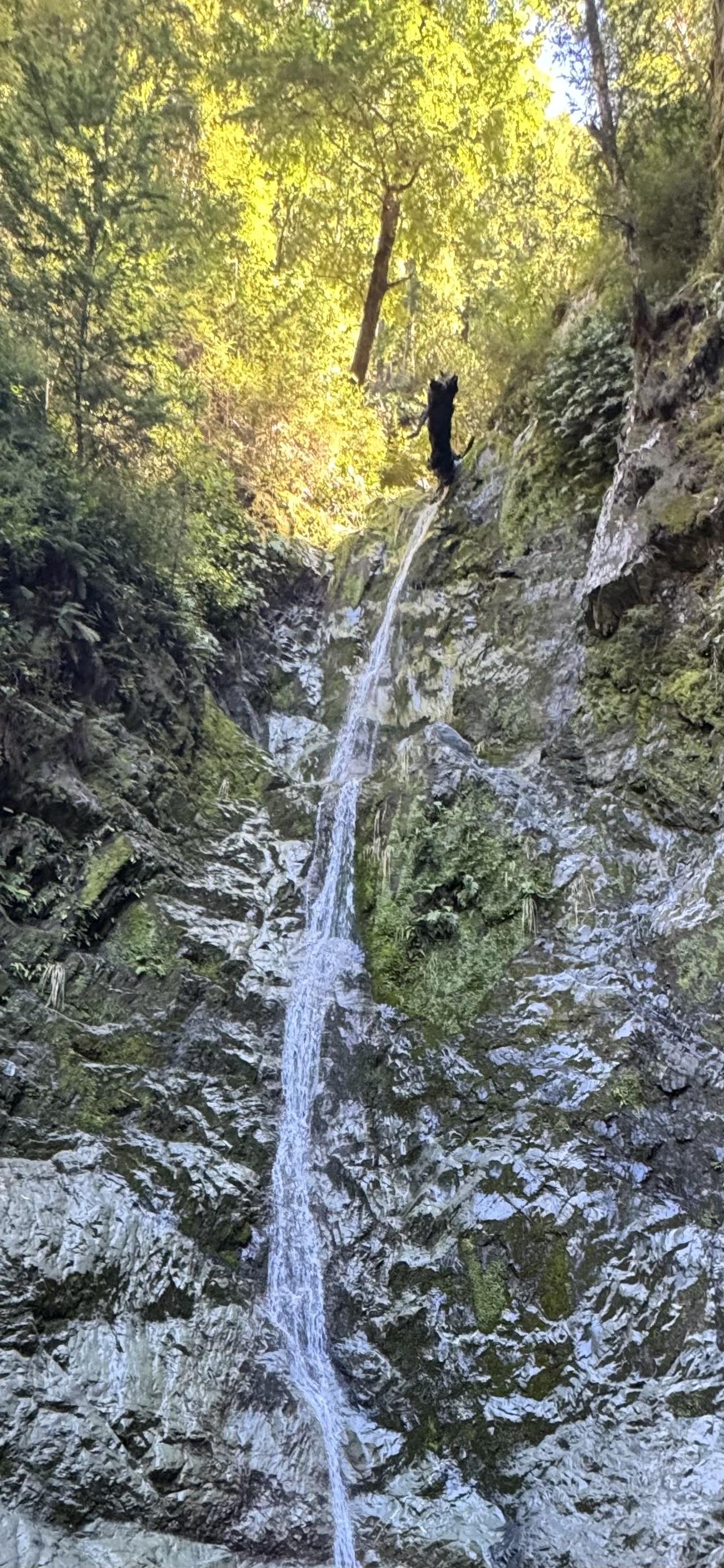 Wasserfall 