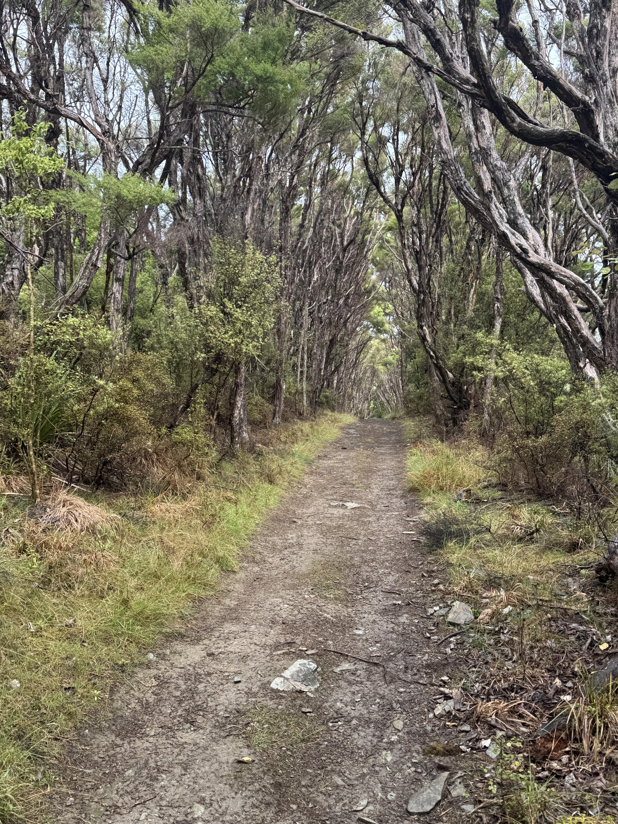 Sehr schöne Wanderwege