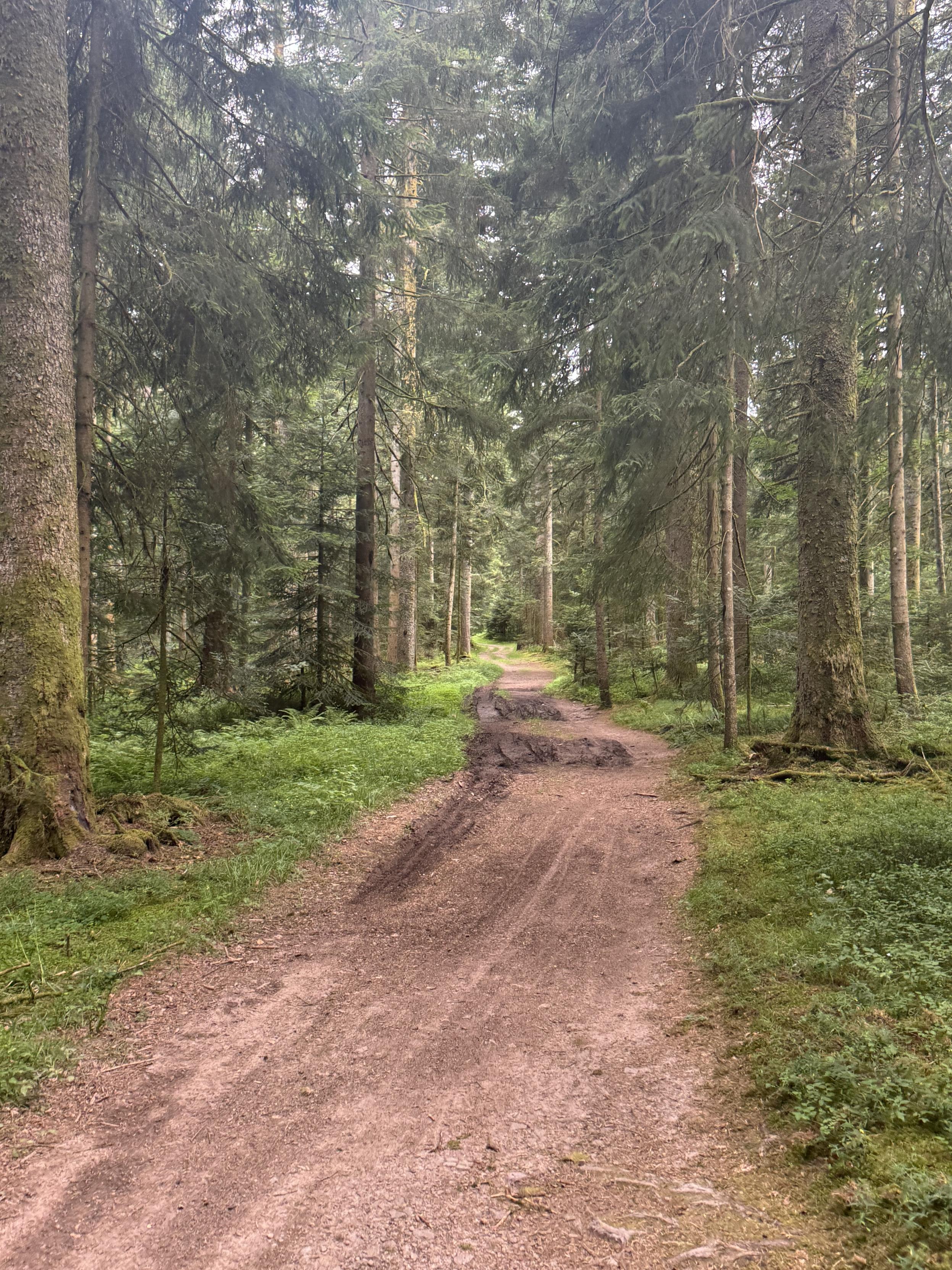 Schwarzwald Wander Autobahn