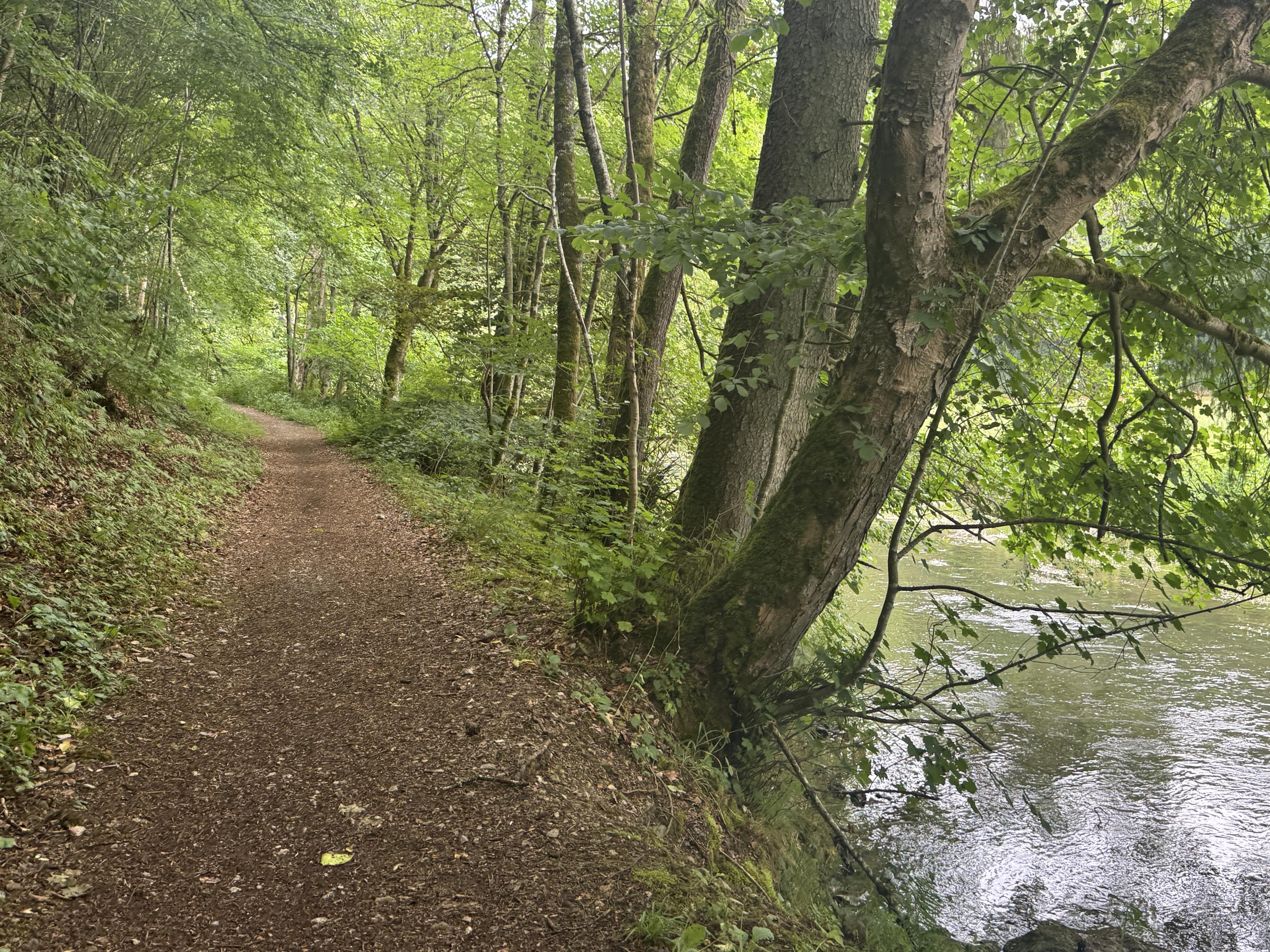 An der Eschach entlang. Stinkt nach Klärwärk, bääh