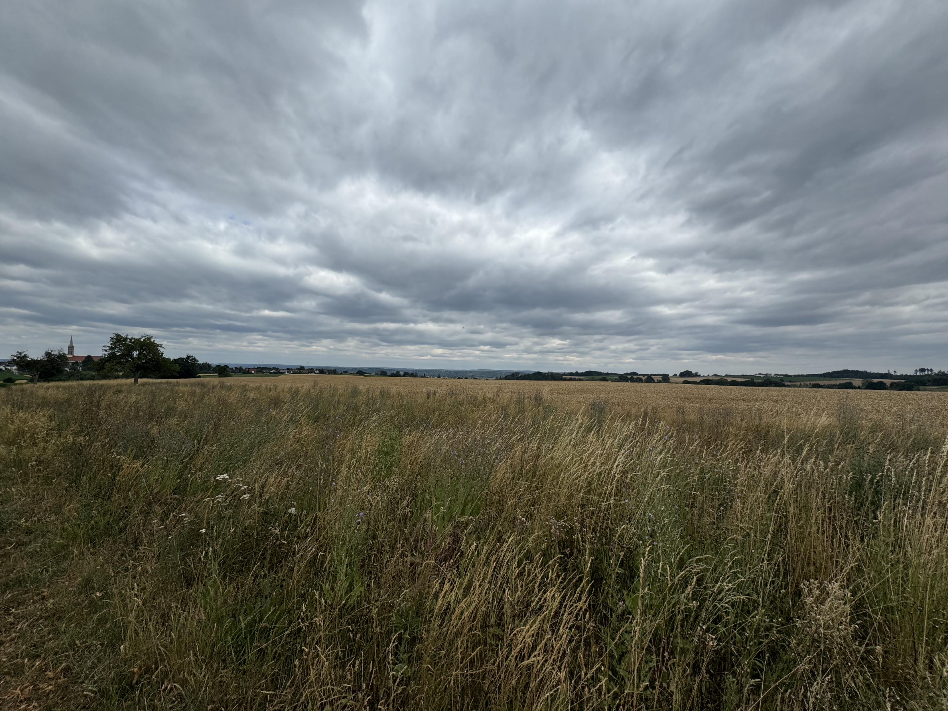 Übers Feld