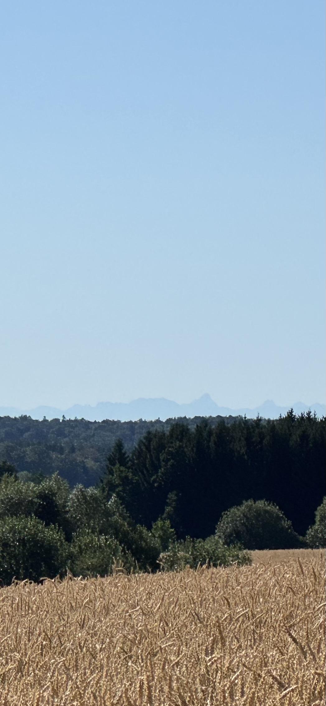 Am Horizont die Alpen