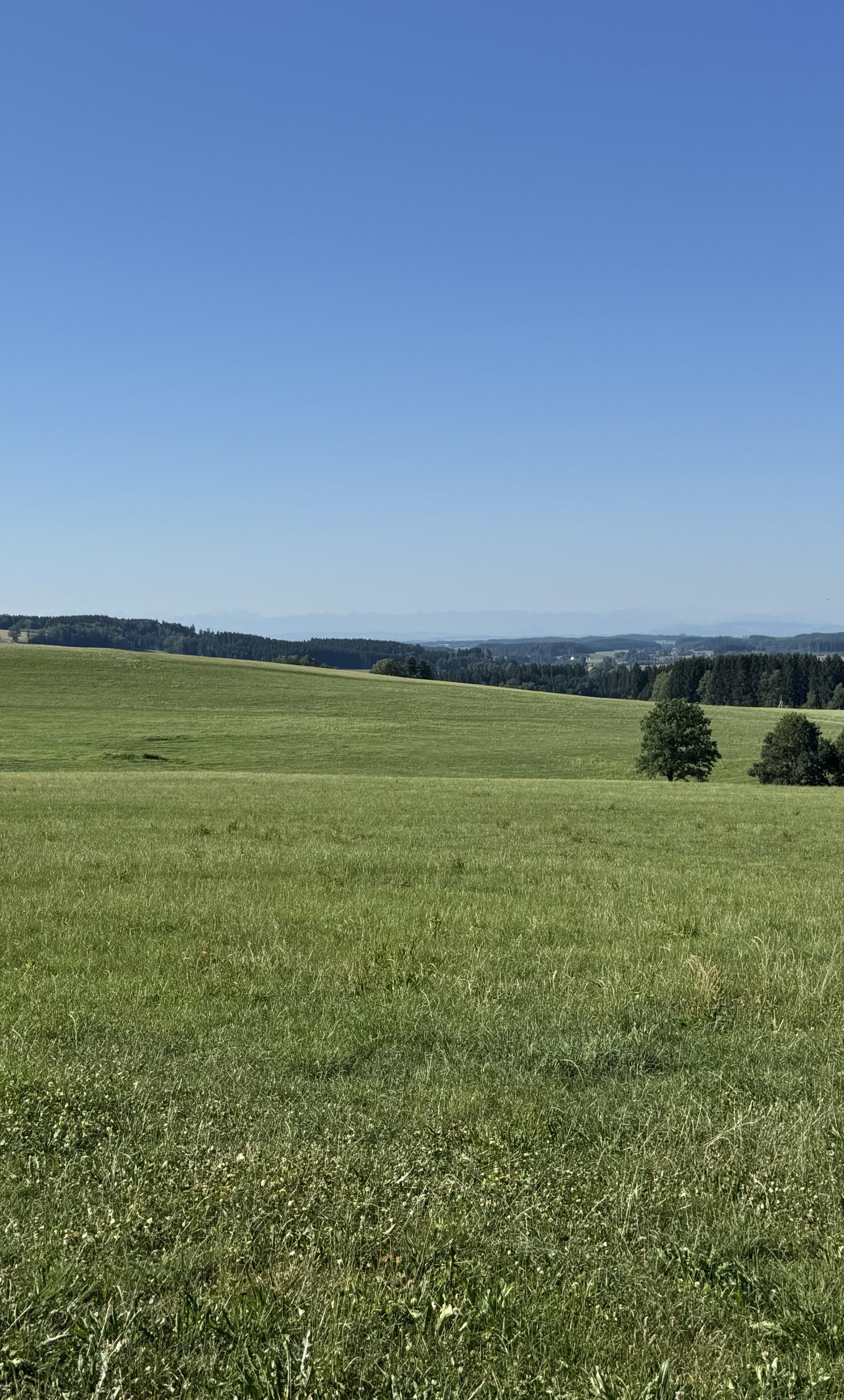 Alpenblick